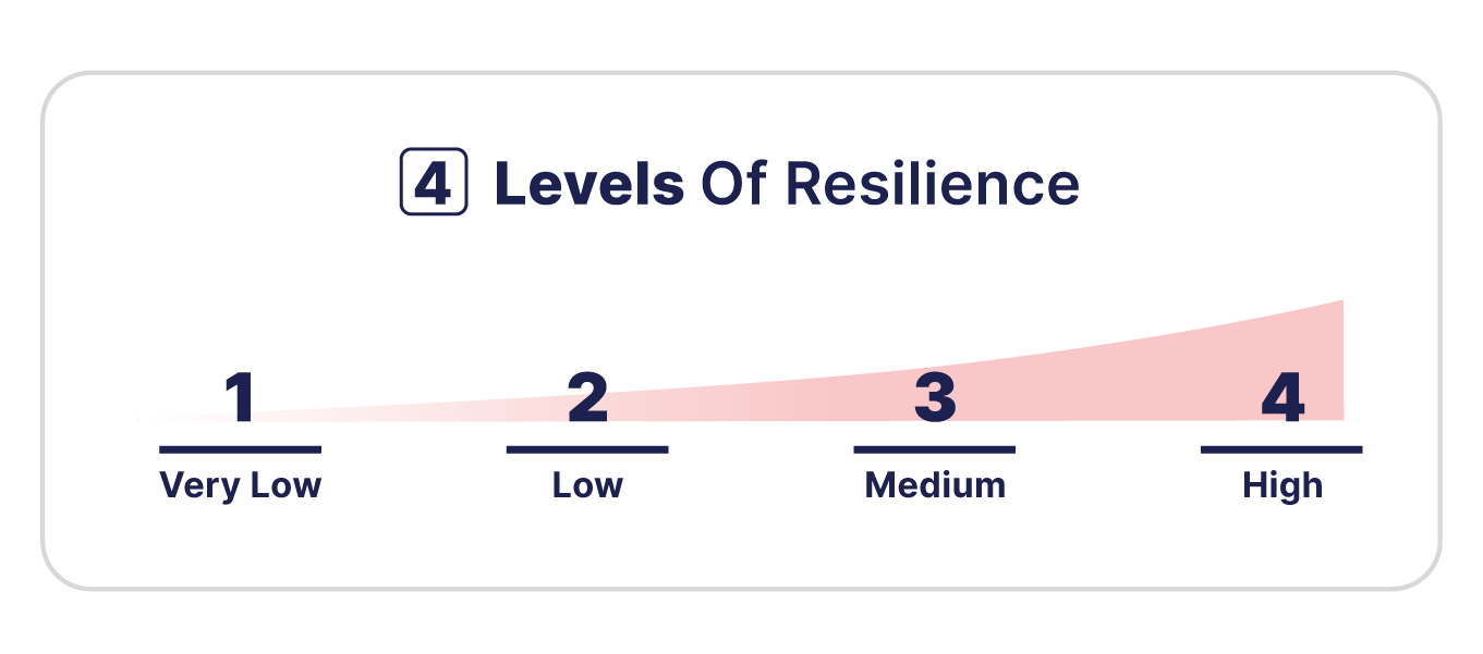 Levels of Resilience